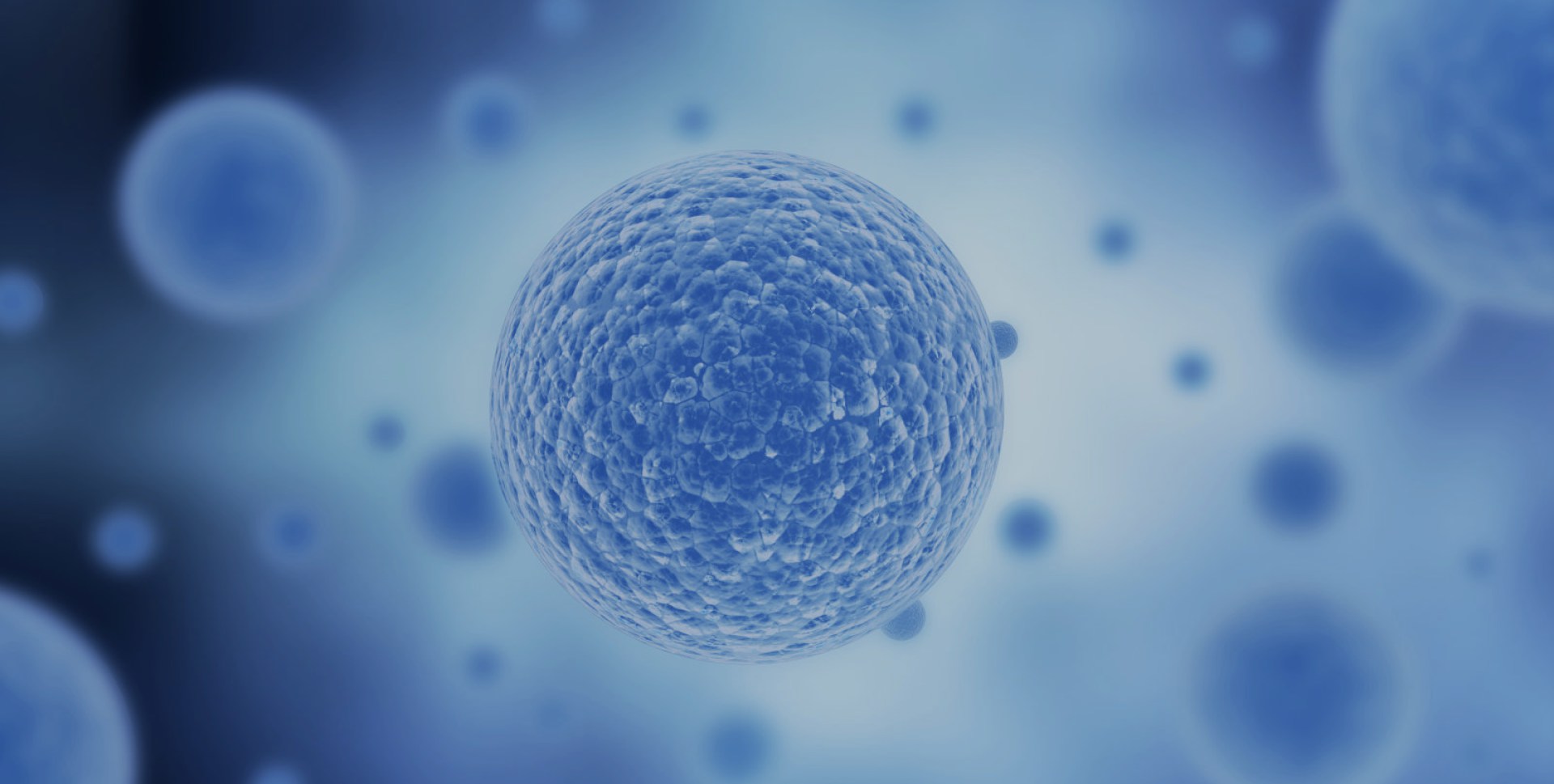 �������ǲ���(�й���)���Ź���